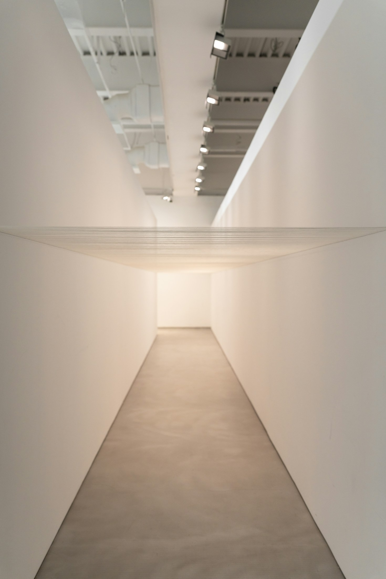 Sztuka typografii w nowoczesnym designie